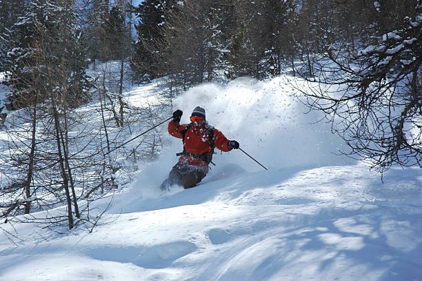 acção de pó - telemark skiing fotos imagens e fotografias de stock