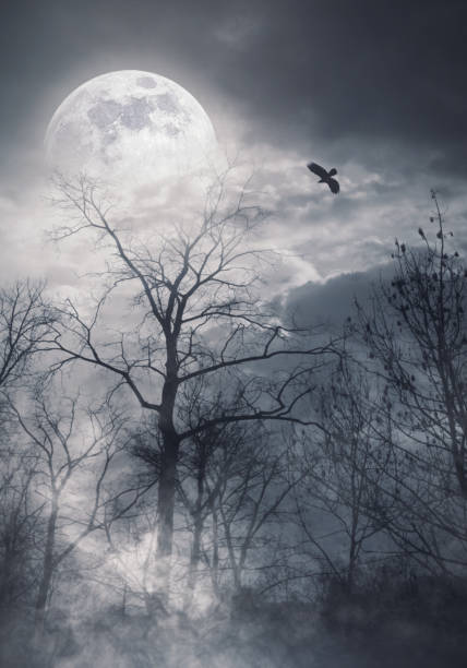 istock Scary dry trees and moon: horror background 1727436603