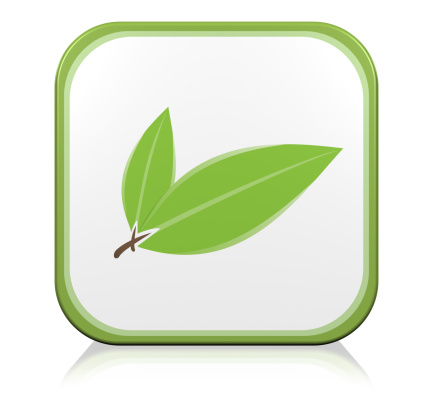 Nature leaf green Icon. 3D with reflect.