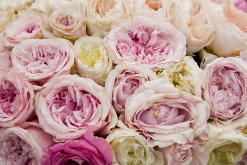 Up-front view of a bunch of pastel pink and white roses.