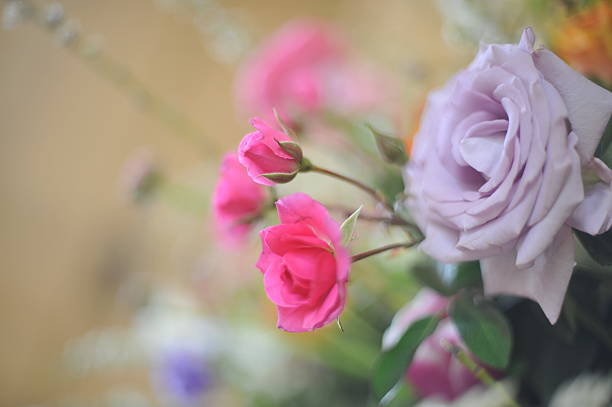 istock beautiful flowers 172744660
