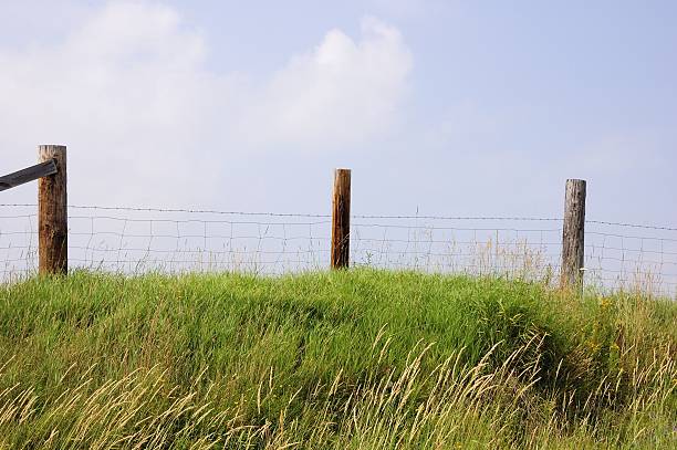 istock field fence and blue sky 172744859