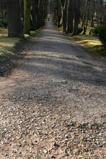 o caminho de esperança - footpath single lane road green tree - fotografias e filmes do acervo