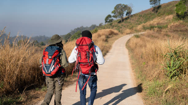 istock Travelers hiking with backpack traveling in forest wild and look around and explore while walking in nature wood. happy holiday vacation trip. 1727449784