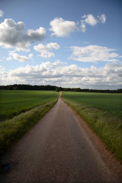 istock Country road leading to patch of sunlight 172745050