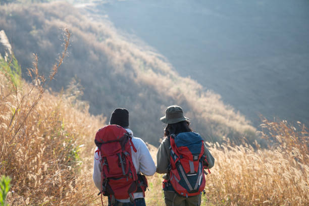 istock Travelers hiking with backpack traveling in forest wild and look around and explore while walking in nature wood. happy holiday vacation trip. 1727452014