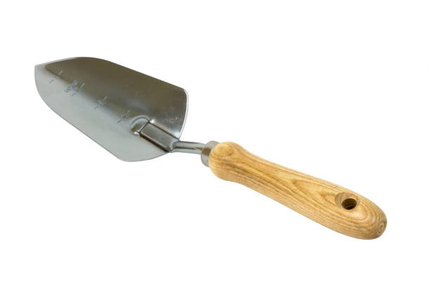 istock Gardening Trowel  Isolated with Clipping Path 172745254