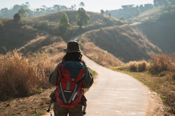 istock Travelers hiking with backpack traveling in forest wild and look around and explore while walking in nature wood. happy holiday vacation trip. 1727453653