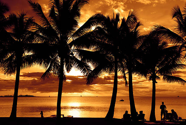 A relaxing setting beside the sea at sunset. Noumea New Caledonia.