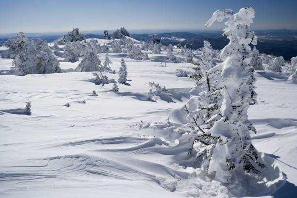 istock Sheregesh. Siberian mounts. Snow. Winterpark. 172746356