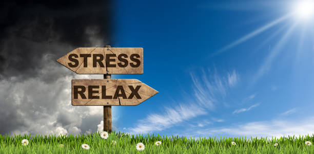 istock Two Wooden Directional Signs with Text Relax and Stress 1727470668