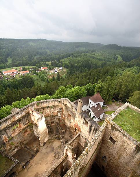 istock Castle and village in the forest 172747292