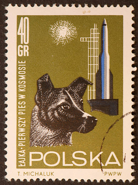 istock dog in space stamp 172747432