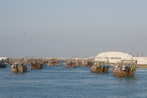 Traditional Dhows (Fishing boats) leaving the harbour of Bahrain together to go out fishing.