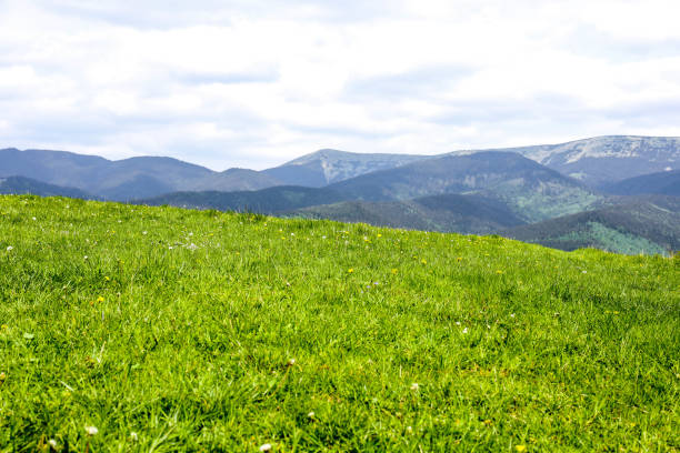 istock Mountain landscape on sunny summer day 1727477983