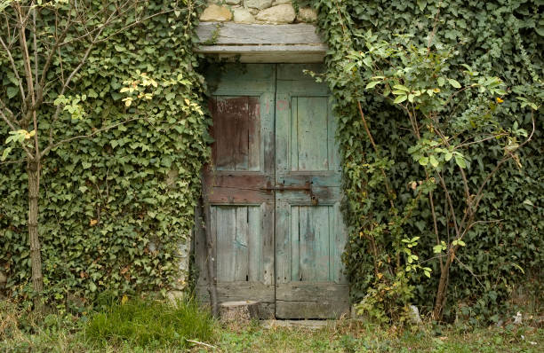 istock Closed door and ivy 172748326