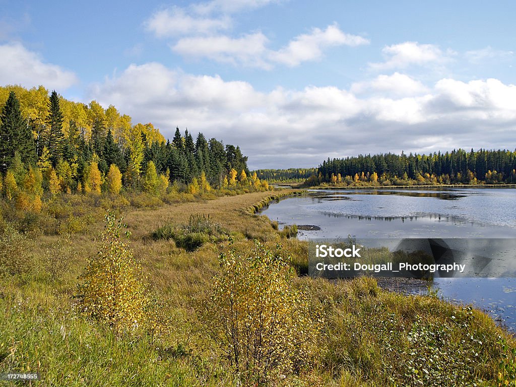 Северная Заболоченная зе�мля - Стоковые фото Prince Albert National Park роялти-фри