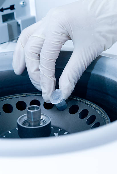 istock Hand holding Test Tube 172748575