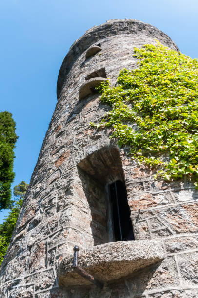 istock Traditional Irish Roundtower, County Wicklow, Ireland 1727486747