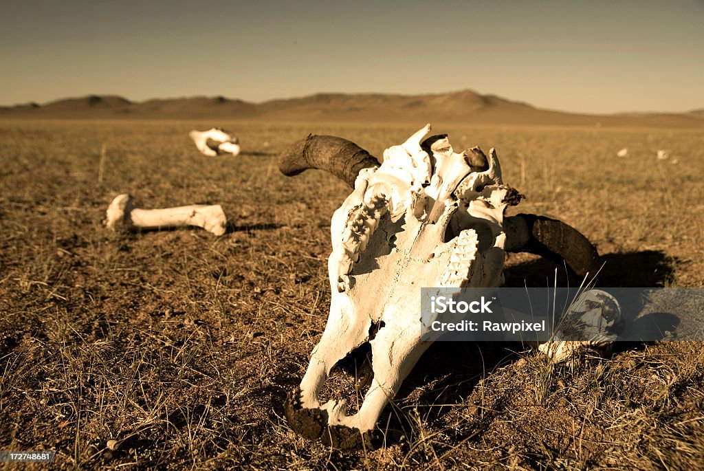 Réchauffement de la planète - Photo de Désert libre de droits