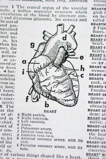 The human heart illustration in an old dictionary