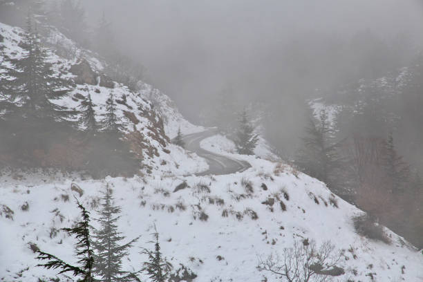 istock The cedar forest in mountains of Lebanon 1727502801