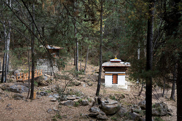 istock Bhutanese Chorten near Paro 172751515