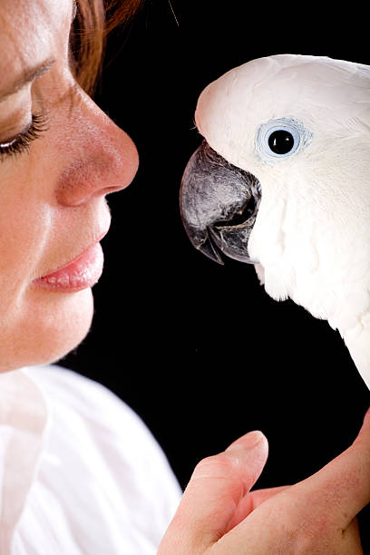 istock Woman Holding a Cockatoo 172751716