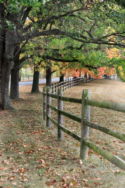 istock Country Lane in Autumn 172751980