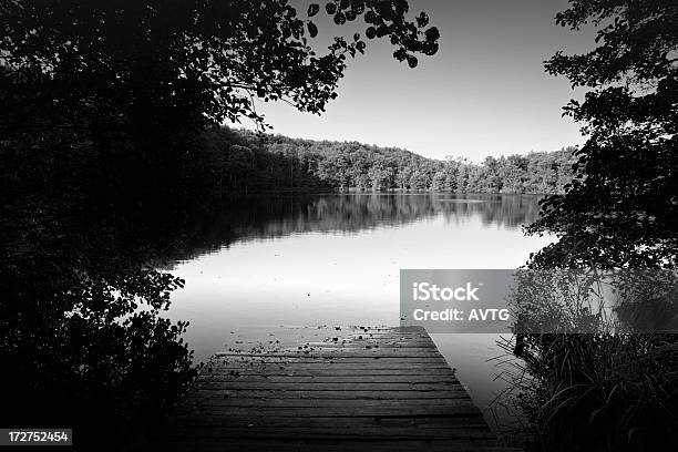 Calm Lake In Autumn Stock Photo - Download Image Now - Beach, Beauty In Nature, Black And White