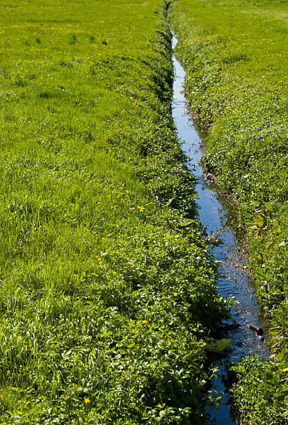 istock little river, on a green surrounding 172752640