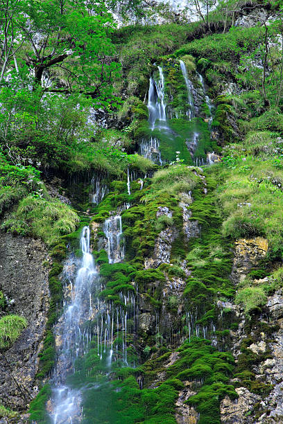 водопад mossy - ravine canyon stream sparse стоковые фото и изображения