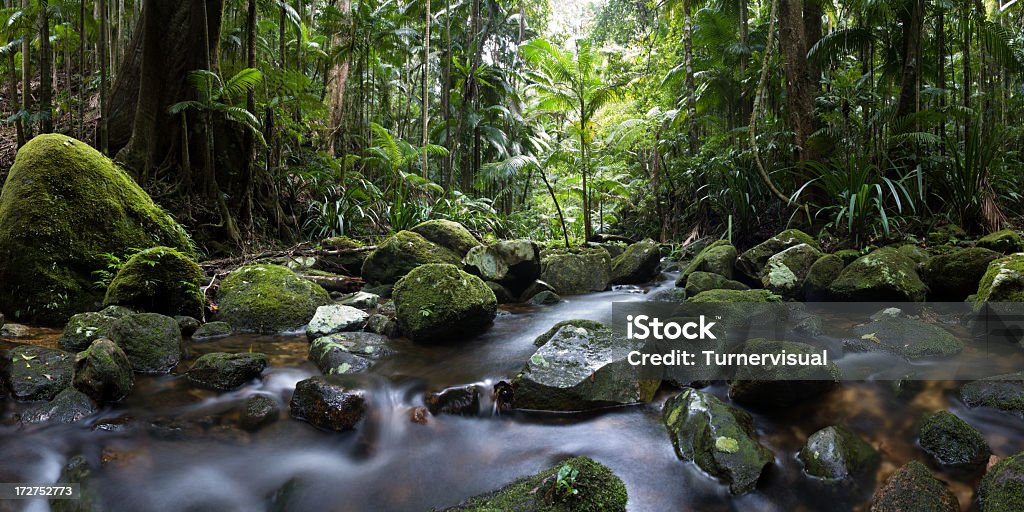 SAIDEIRA Ranges National Park e o Panorama de floresta tropical - Foto de stock de Floresta pluvial royalty-free