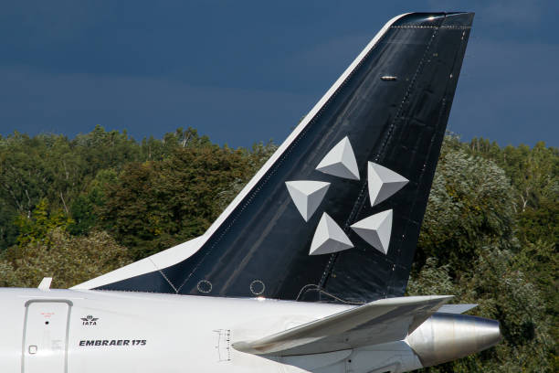 E175 Vhf Rear 410개 이상의 Embraer E175 스톡 사진, 그림 및 Royalty-Free 이미지 - iStock