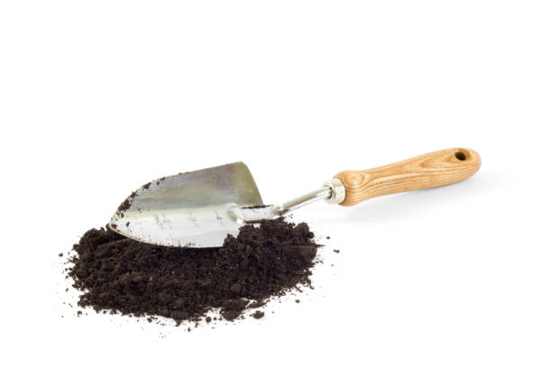 Garden Shovel 3D Icon