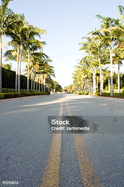 Foto de Unidade De Palma e mais fotos de stock de Avenida - Avenida, Bulevar, Estados da Costa do Golfo