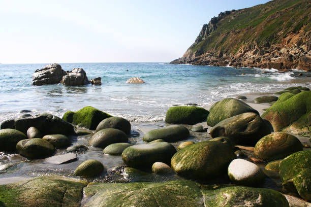 spiaggia di mossy boulders e blu mare - scenics coastline uk moss foto e immagini stock