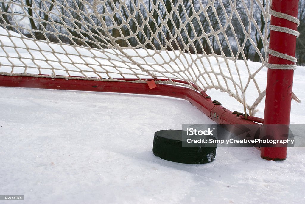 Puck auf der Torlinie - Lizenzfrei Puck Stock-Foto