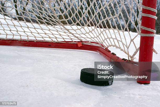 Puck Auf Der Torlinie Stockfoto und mehr Bilder von Puck - Puck, Eishockey, Eis