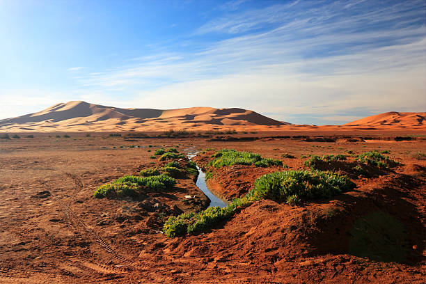 istock Edge of the desert 172754016