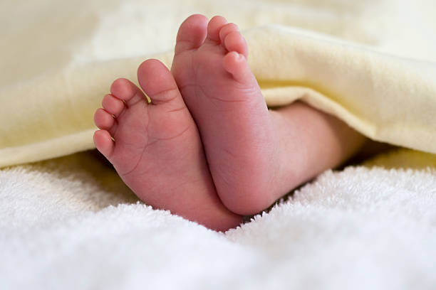 istock Newborn Baby Feet Under a Blanket 172754037