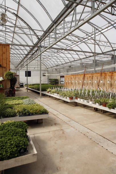 istock Commercial Green House 172754041