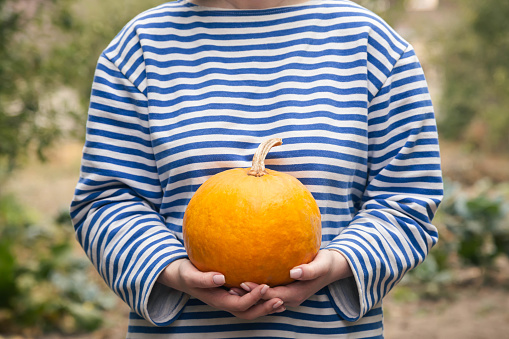 A woman in a striped sweater holds bright pumpkin on a blurred garden background, Thanksgiving or Halloween, homegrown vegetables and eco living concept.