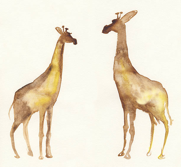 Painted watercolor giraffes stock photo