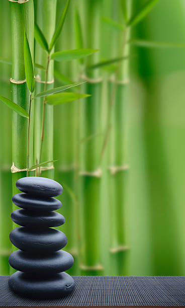 istock Feng Shui Country 172754951