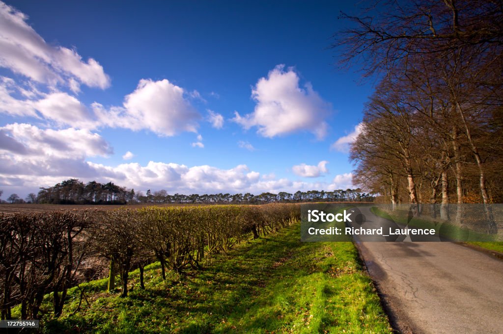 Inglês país lane - Foto de stock de Azul royalty-free