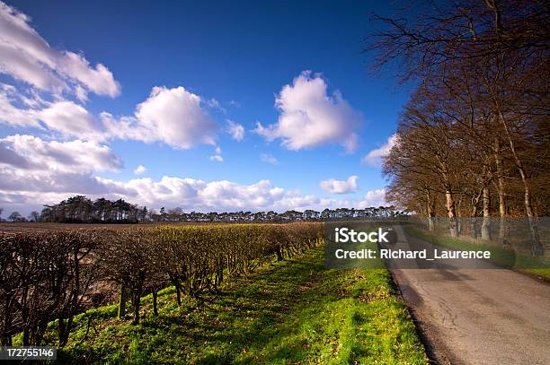 Foto de Inglês País Lane e mais fotos de stock de Azul - Azul, Bosque - Floresta, Brilhante - Luminosidade