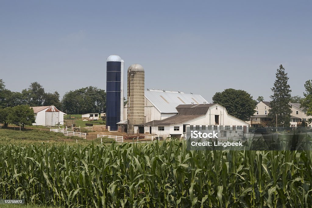 Amish farm - Lizenzfrei Agrarbetrieb Stock-Foto