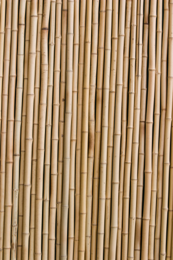 natural thin bamboo wall background pattern