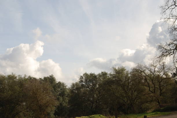 istock Clearing Skies, After The Storm 172756510